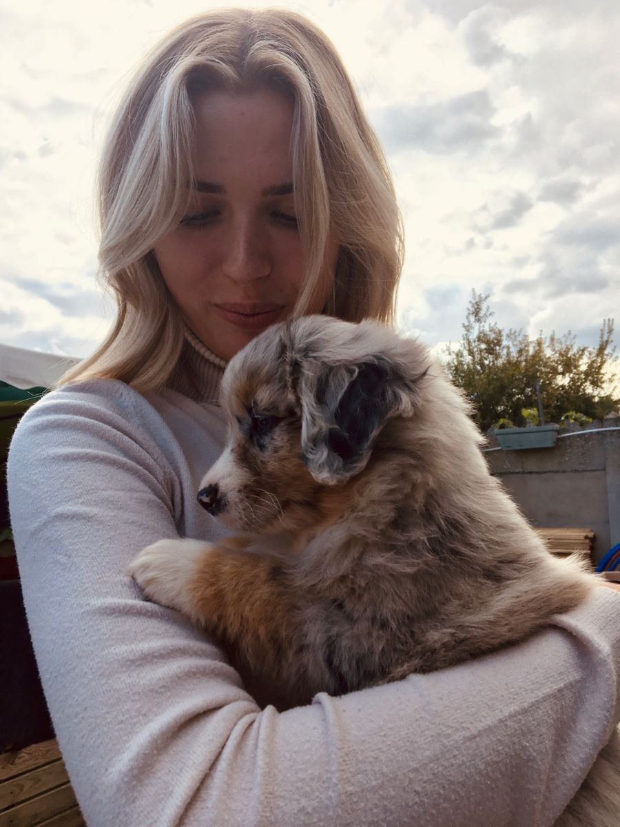 Stella